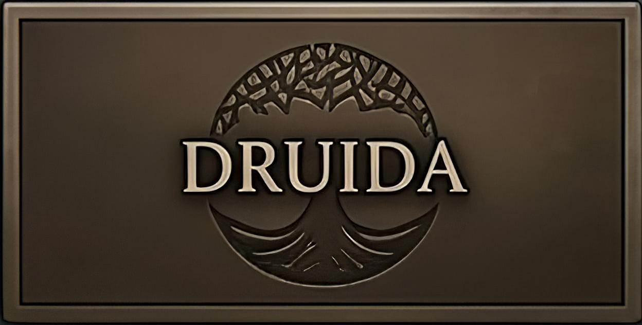 Druida